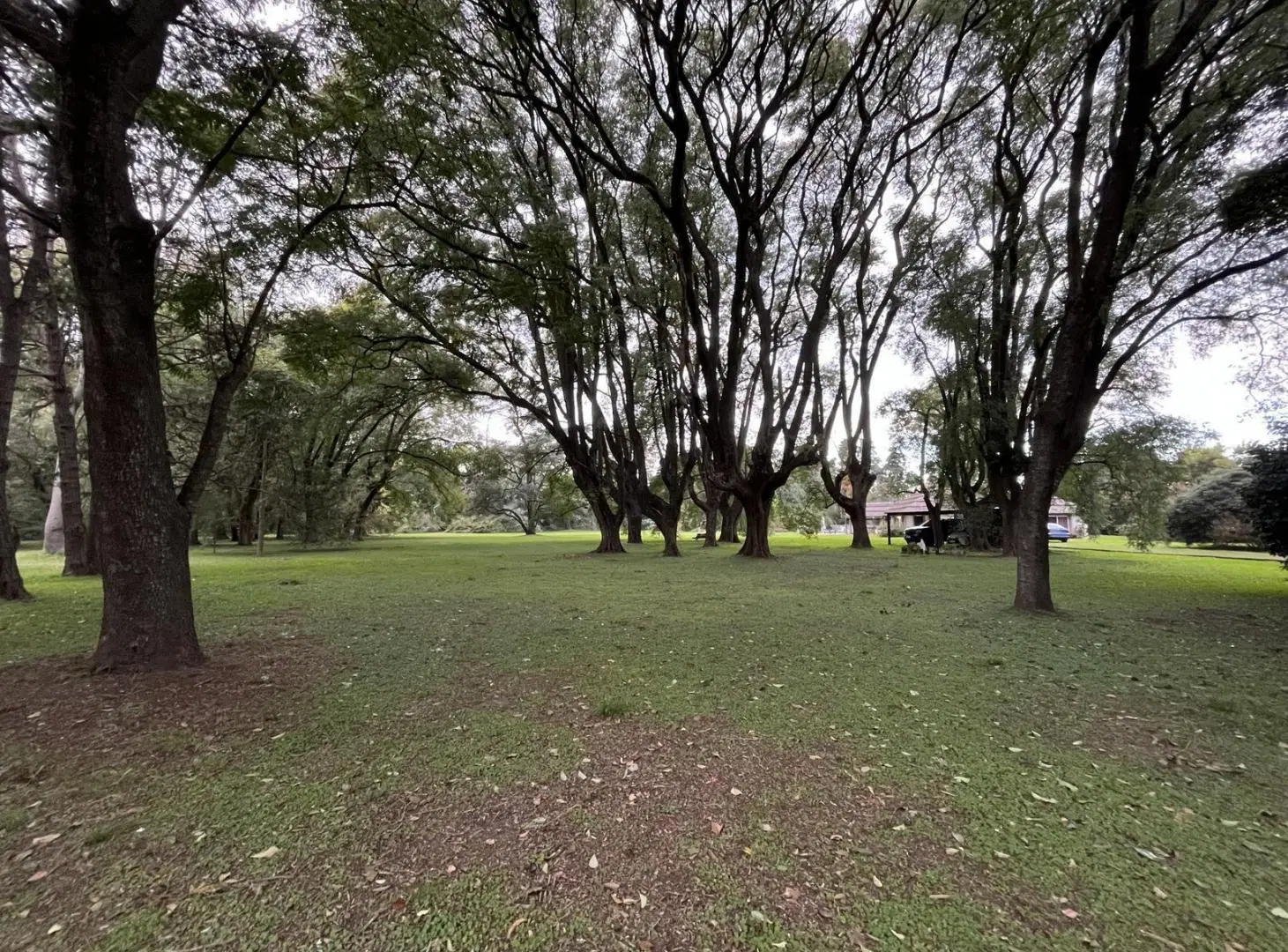 Terreno comercial en esquina Ruta 25 a pasos estacion Matheu 3