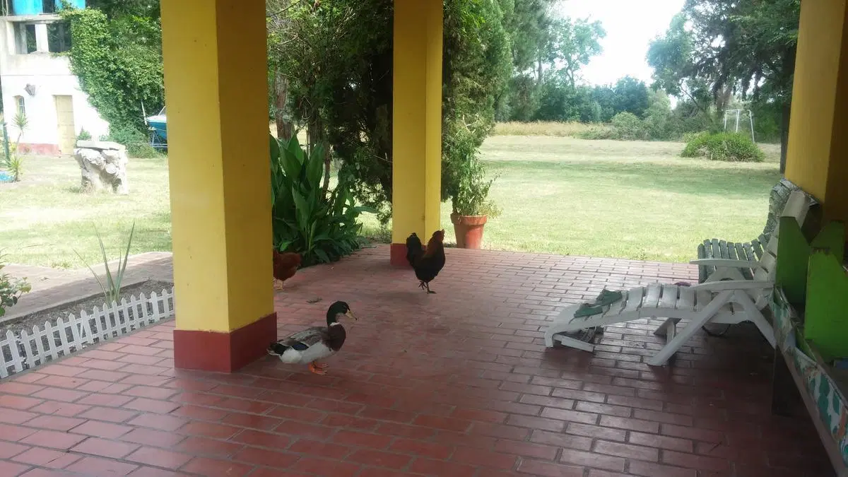 Terreno - Chascomus 1