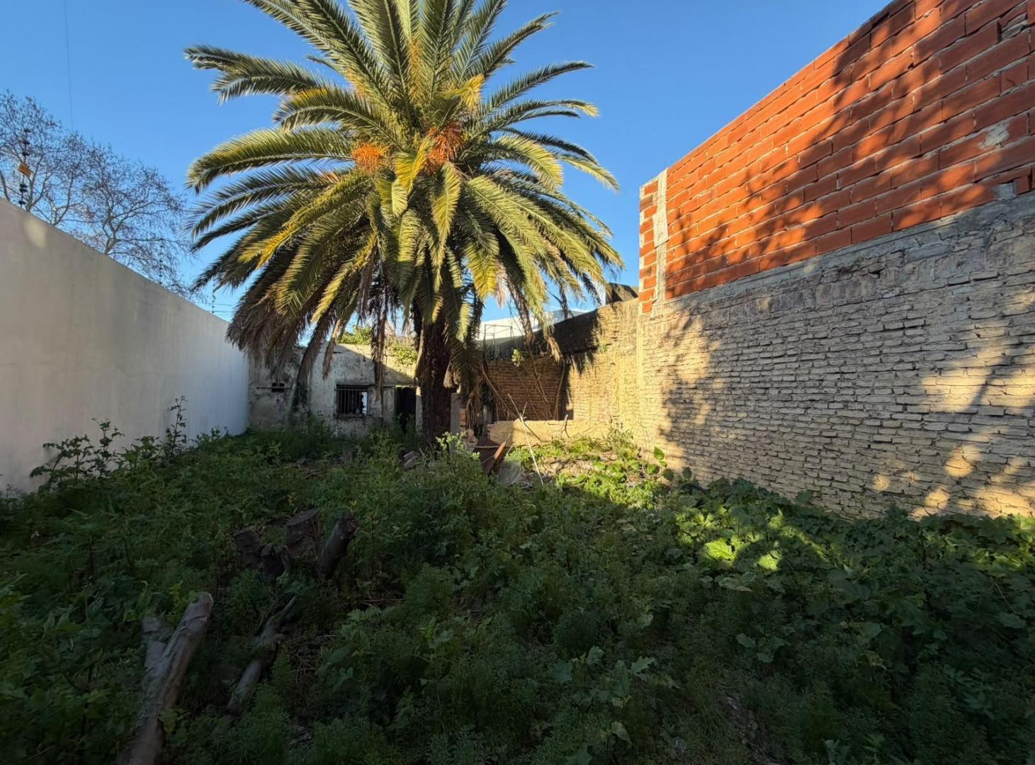 Foto de VENTA TERRENO EN QUILMES - IDEAL DESARROLLADOR, imagen 5