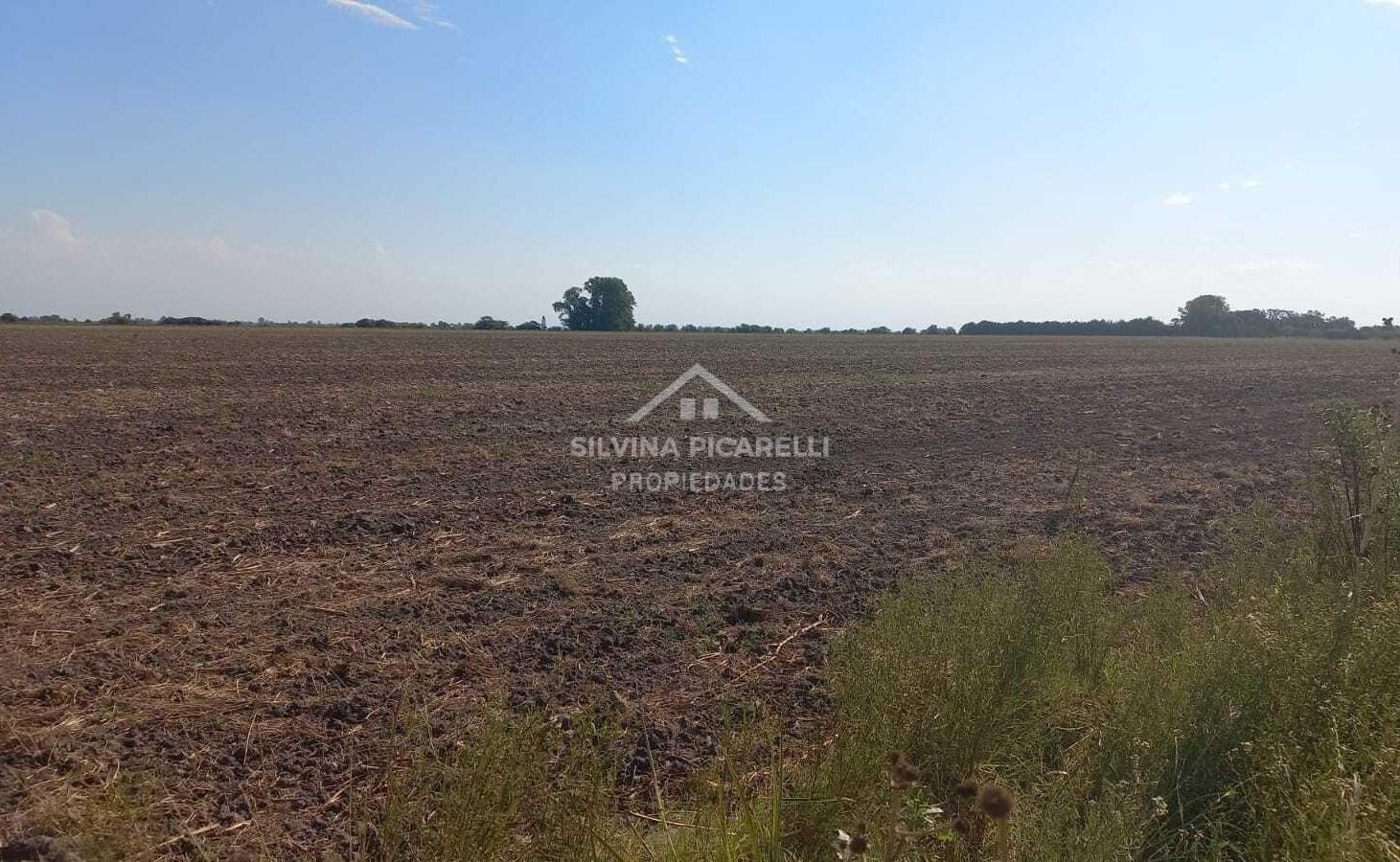 Terreno Campo en Venta en Chenaut, Exaltación de la Cruz, G.B.A. Zona Norte