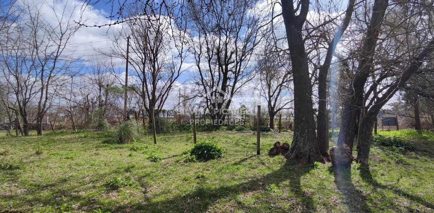 Foto de Terreno Lote en Venta en Barrio Parque Sakura, Exaltación de la Cruz, imagen 5