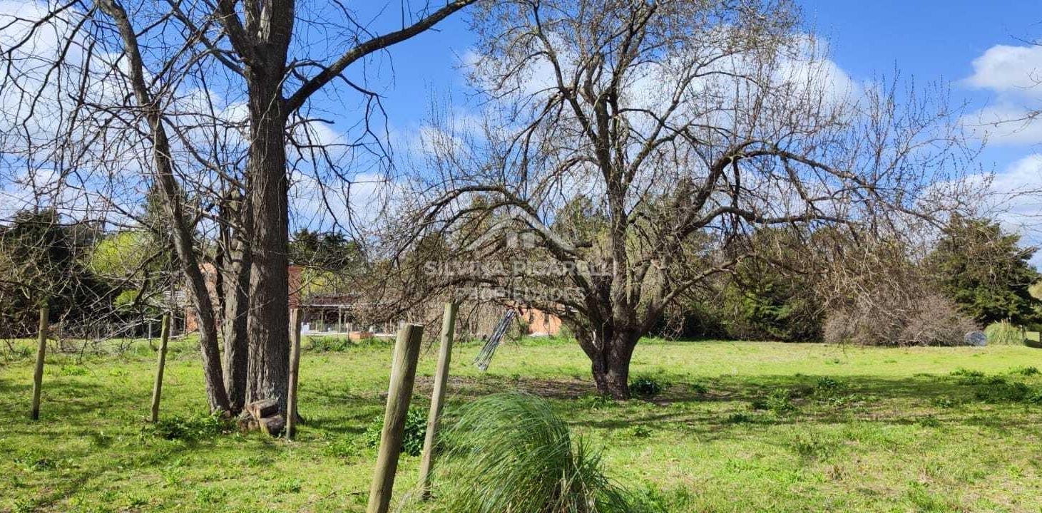 Foto de Terreno Lote en Venta en Barrio Parque Sakura, Exaltación de la Cruz, imagen 4