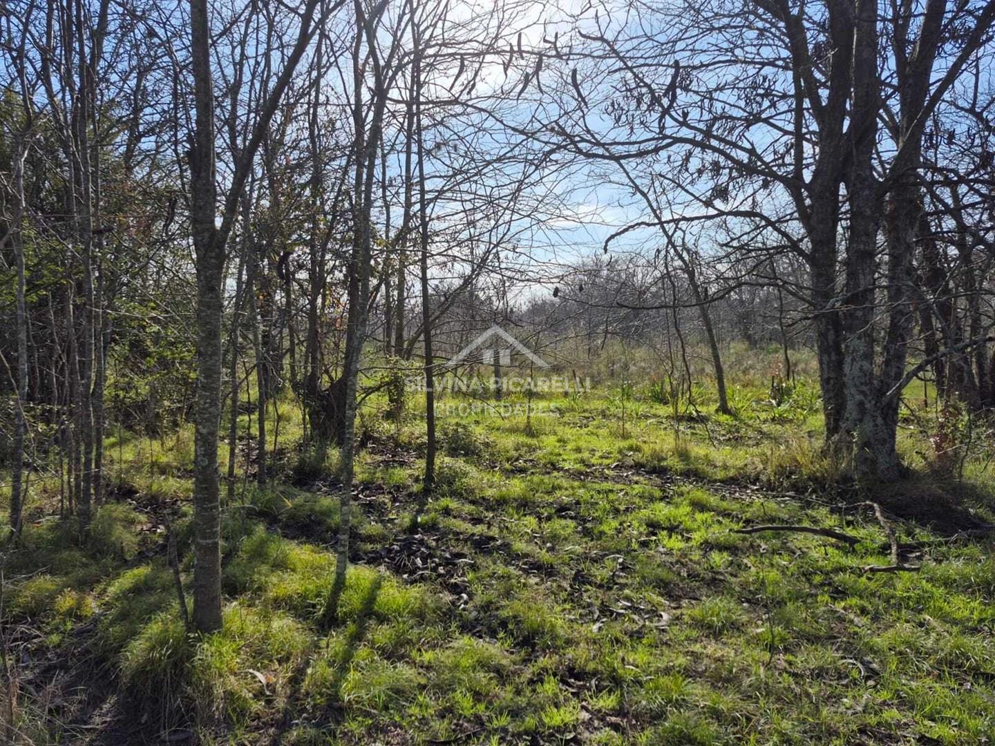 Foto de Terreno Campo en Venta en Open Door, Luján, G.B.A. Zona Oeste, imagen 4