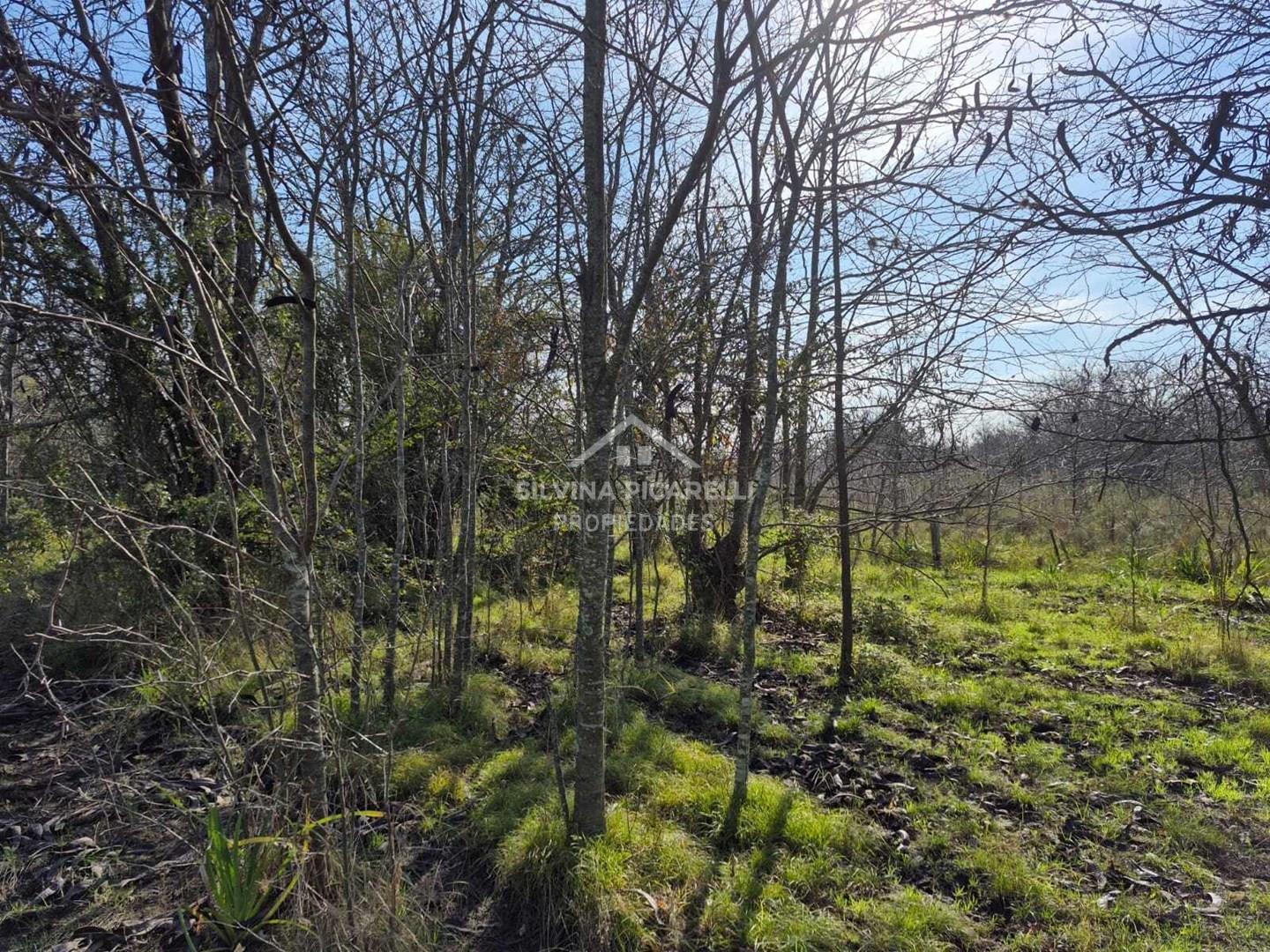 Foto de Terreno Campo en Venta en Open Door, Luján, G.B.A. Zona Oeste, imagen 5