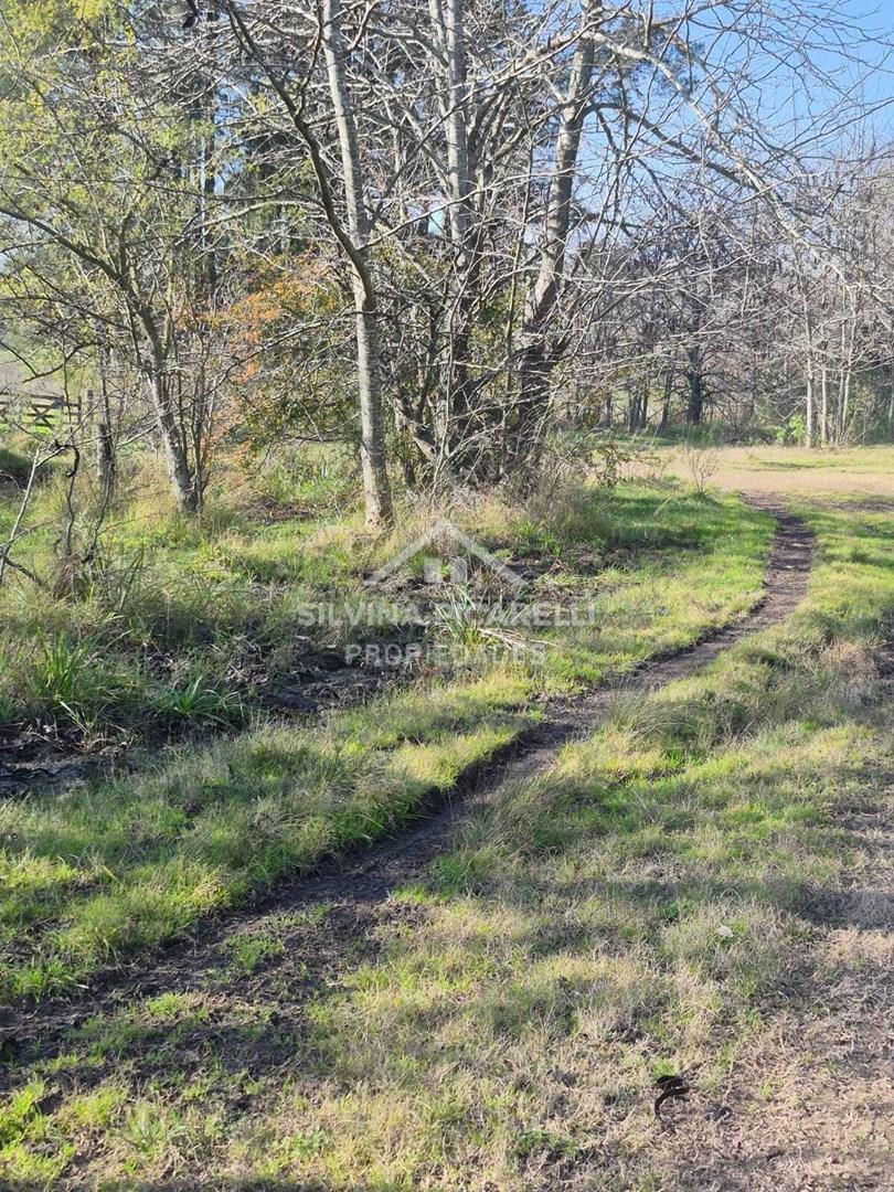 Foto de Terreno Campo en Venta en Open Door, Luján, G.B.A. Zona Oeste, imagen 1