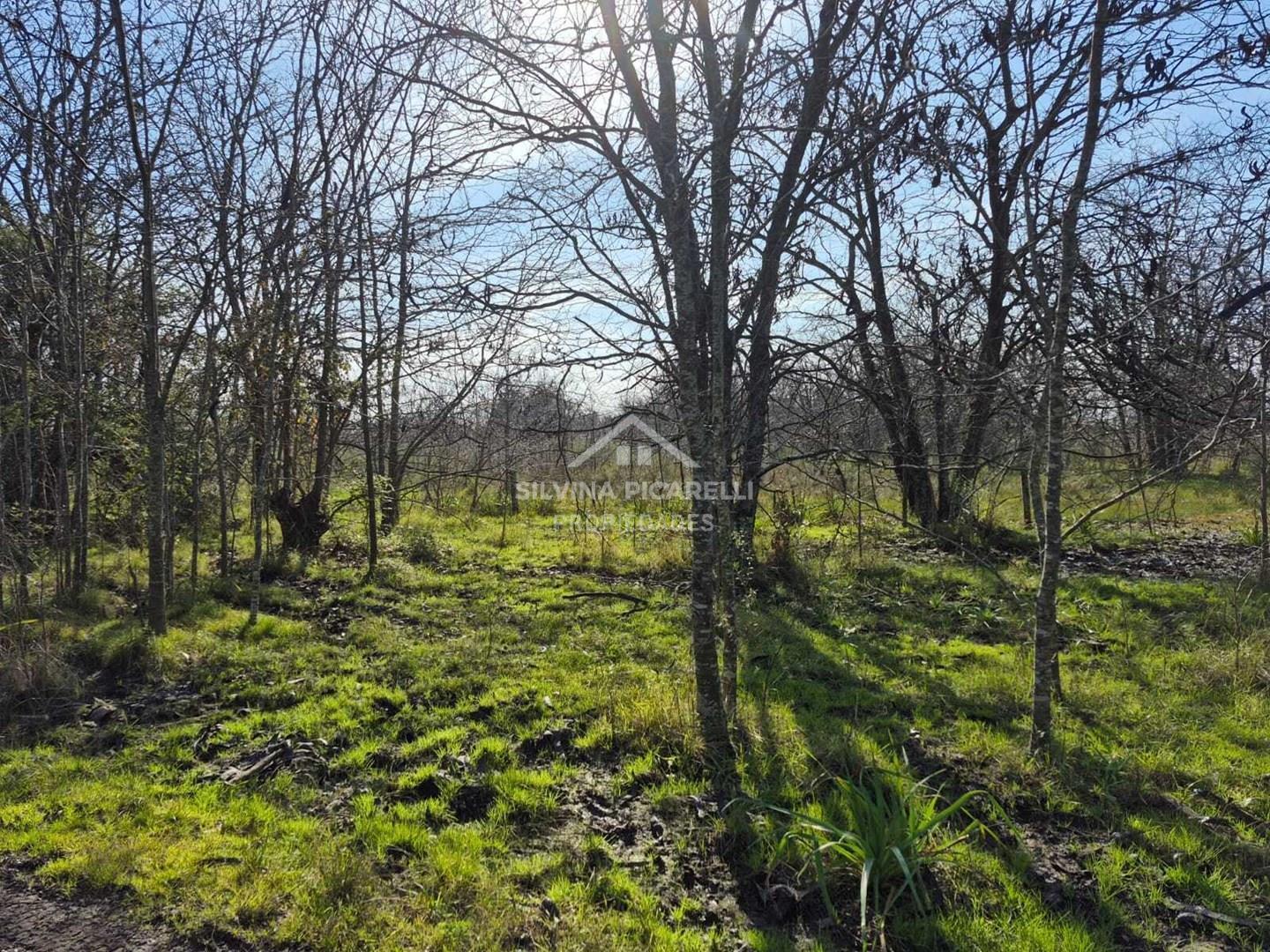 Foto de Terreno Campo en Venta en Open Door, Luján, G.B.A. Zona Oeste, imagen 3
