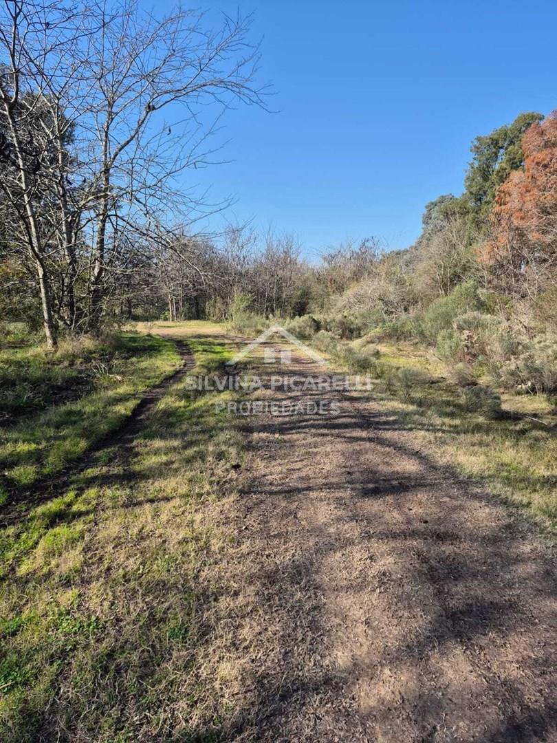 Foto de Terreno Campo en Venta en Open Door, Luján, G.B.A. Zona Oeste, imagen 2