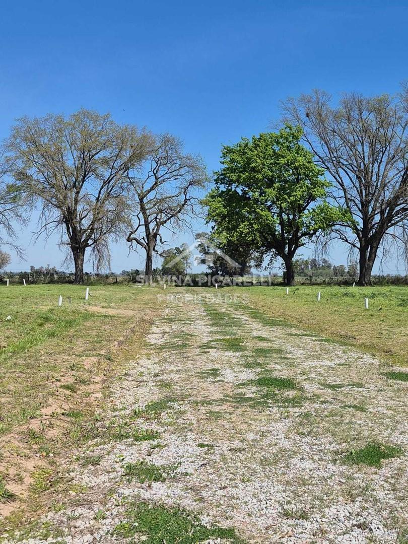 Foto de Terreno Lote en Venta en General Rodríguez, G.B.A. Zona Oeste, Argentina, imagen 1
