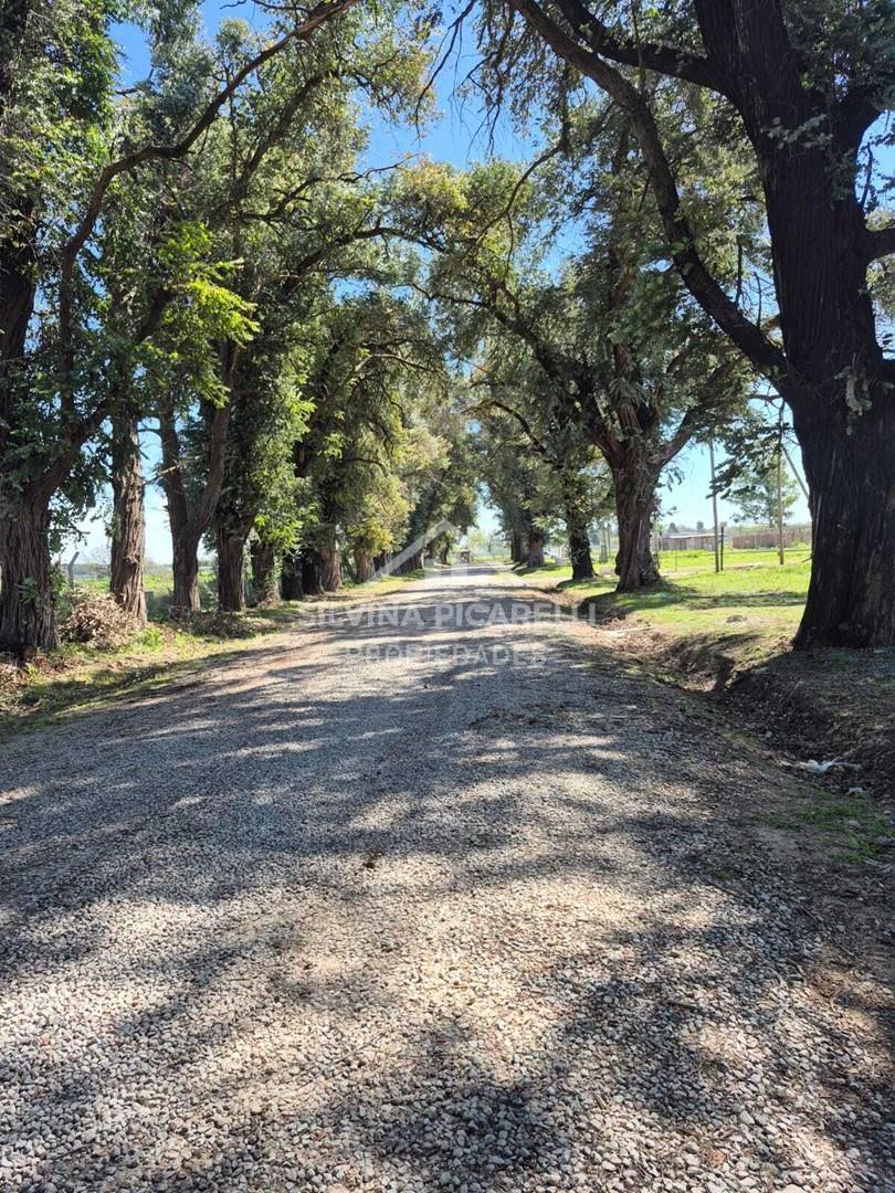 Foto de Terreno Lote en Venta en General Rodríguez, G.B.A. Zona Oeste, Argentina, imagen 2