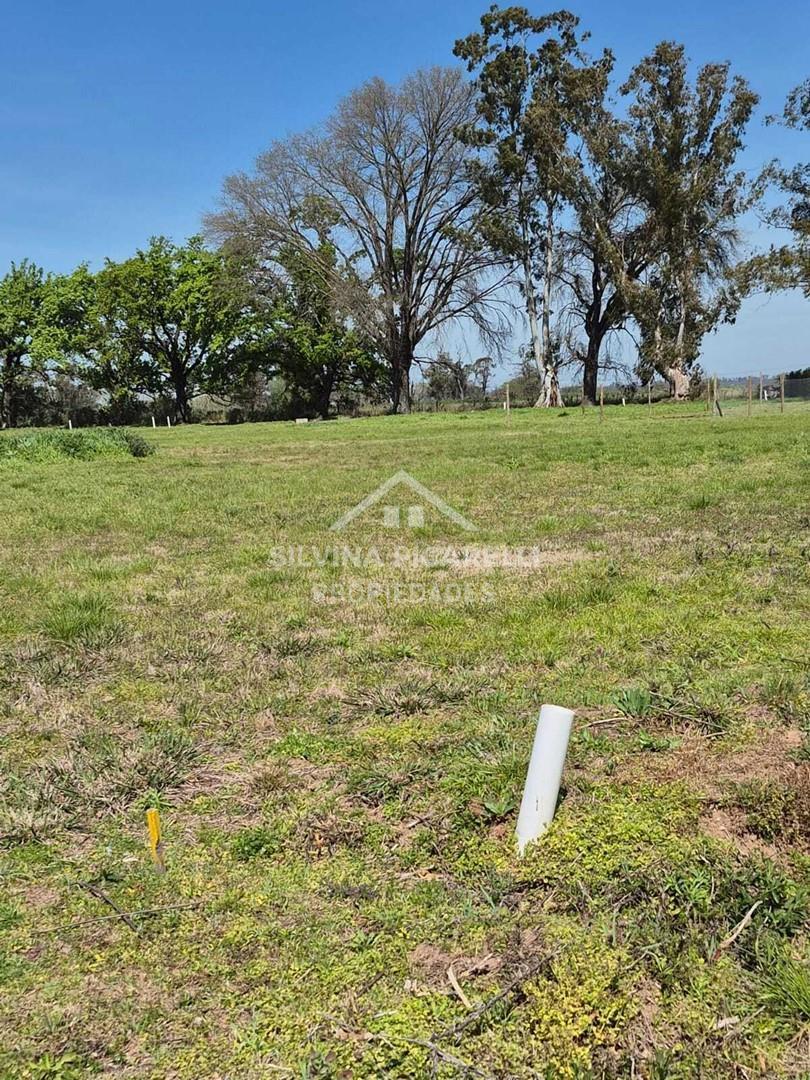 Foto de Terreno Lote en Venta en General Rodríguez, G.B.A. Zona Oeste, Argentina, imagen 5