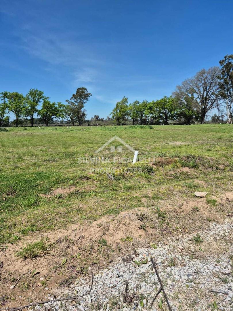 Foto de Terreno Lote en Venta en General Rodríguez, G.B.A. Zona Oeste, Argentina, imagen 3