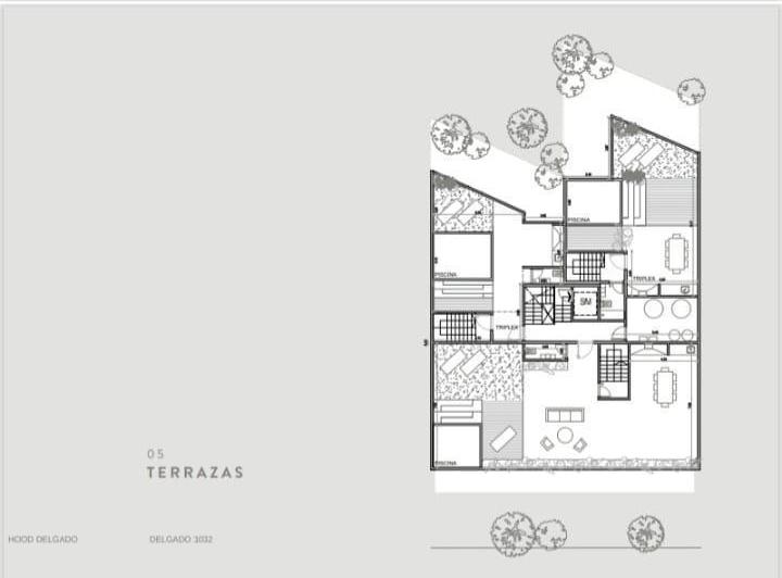 Plano 6