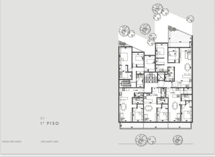 Plano 7