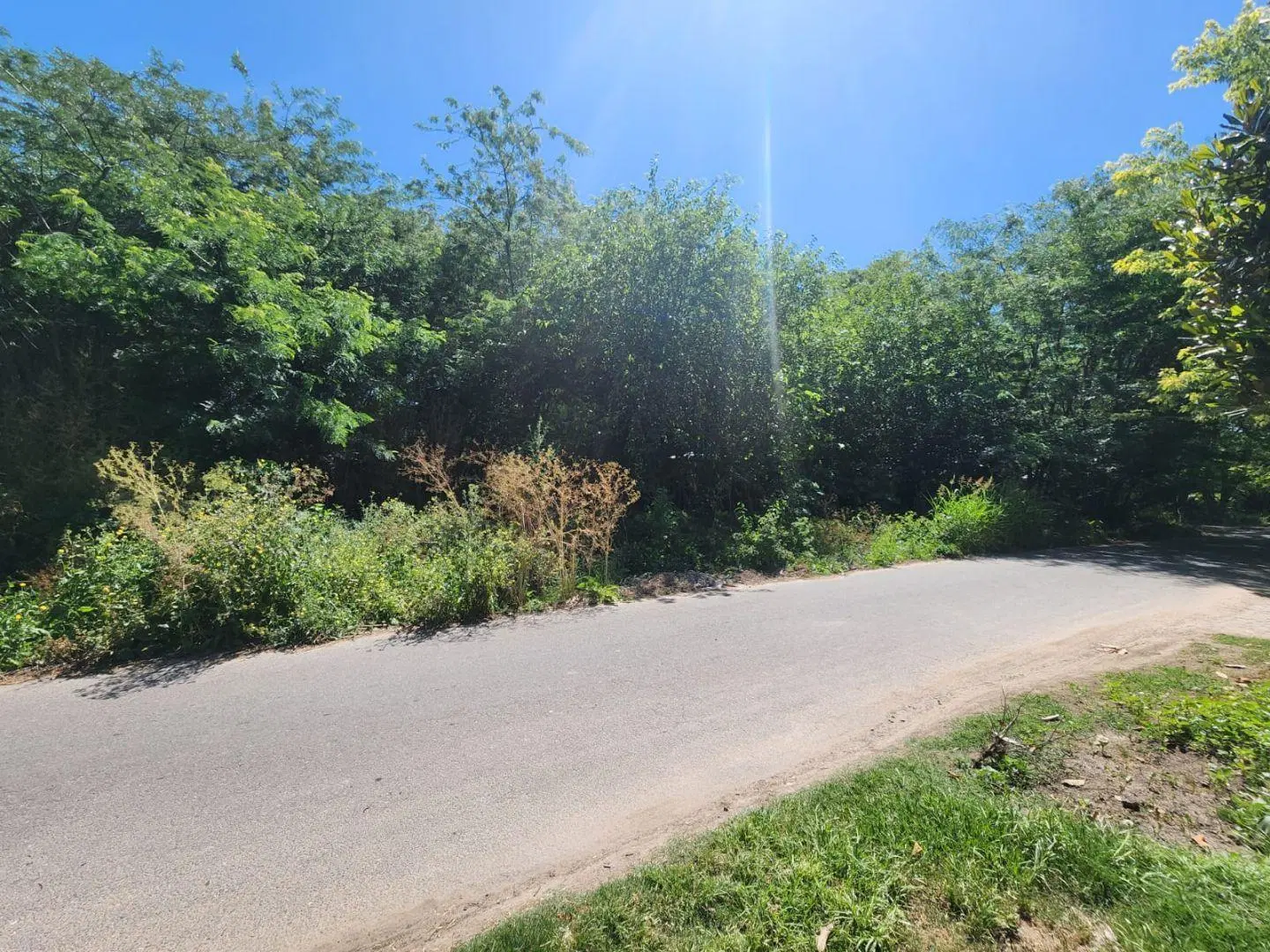Venta en conjunto de dos lotes ubicados en calle 21c e/ 454 y 455, City Bell 2