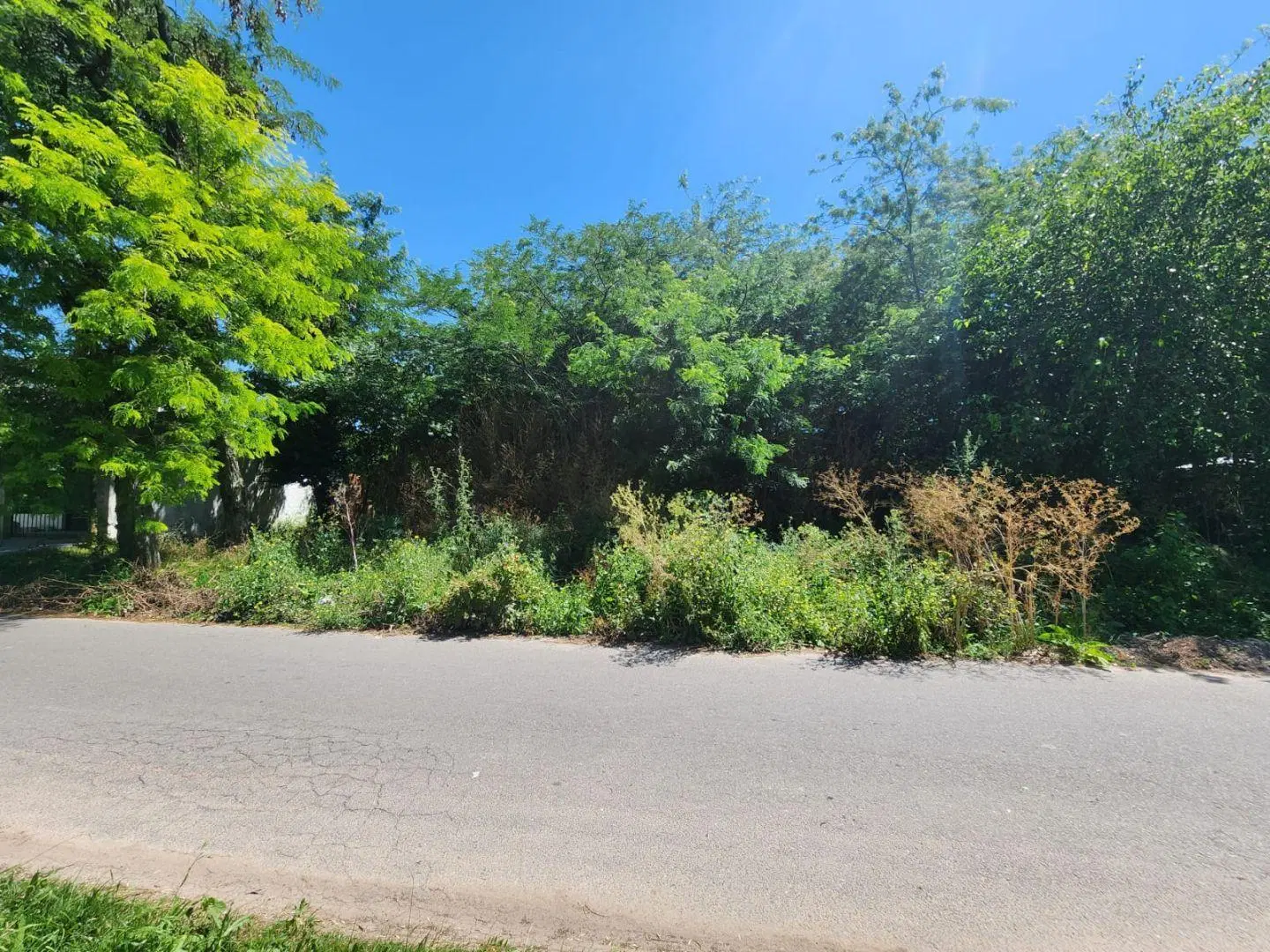 Venta en conjunto de dos lotes ubicados en calle 21c e/ 454 y 455, City Bell 3