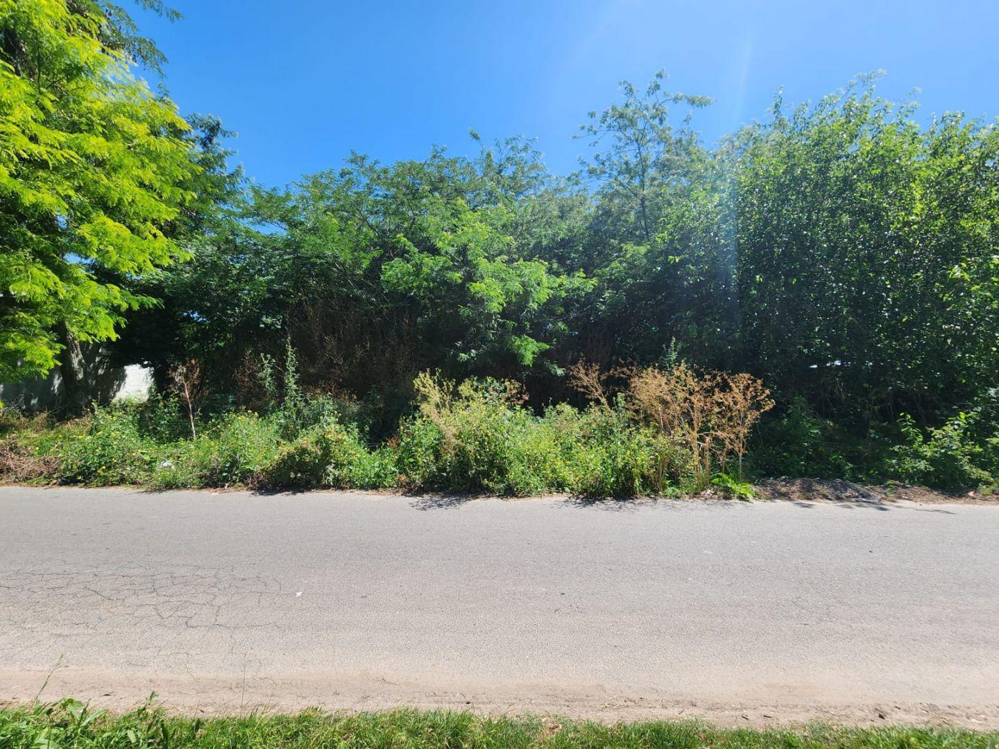Foto de Venta en conjunto de dos lotes ubicados en calle 21c e/ 454 y 455, City, imagen 2