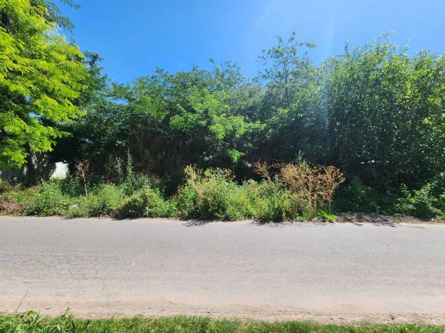 Venta en conjunto de dos lotes ubicados en calle 21c e/ 454 y 455, City Bell 4
