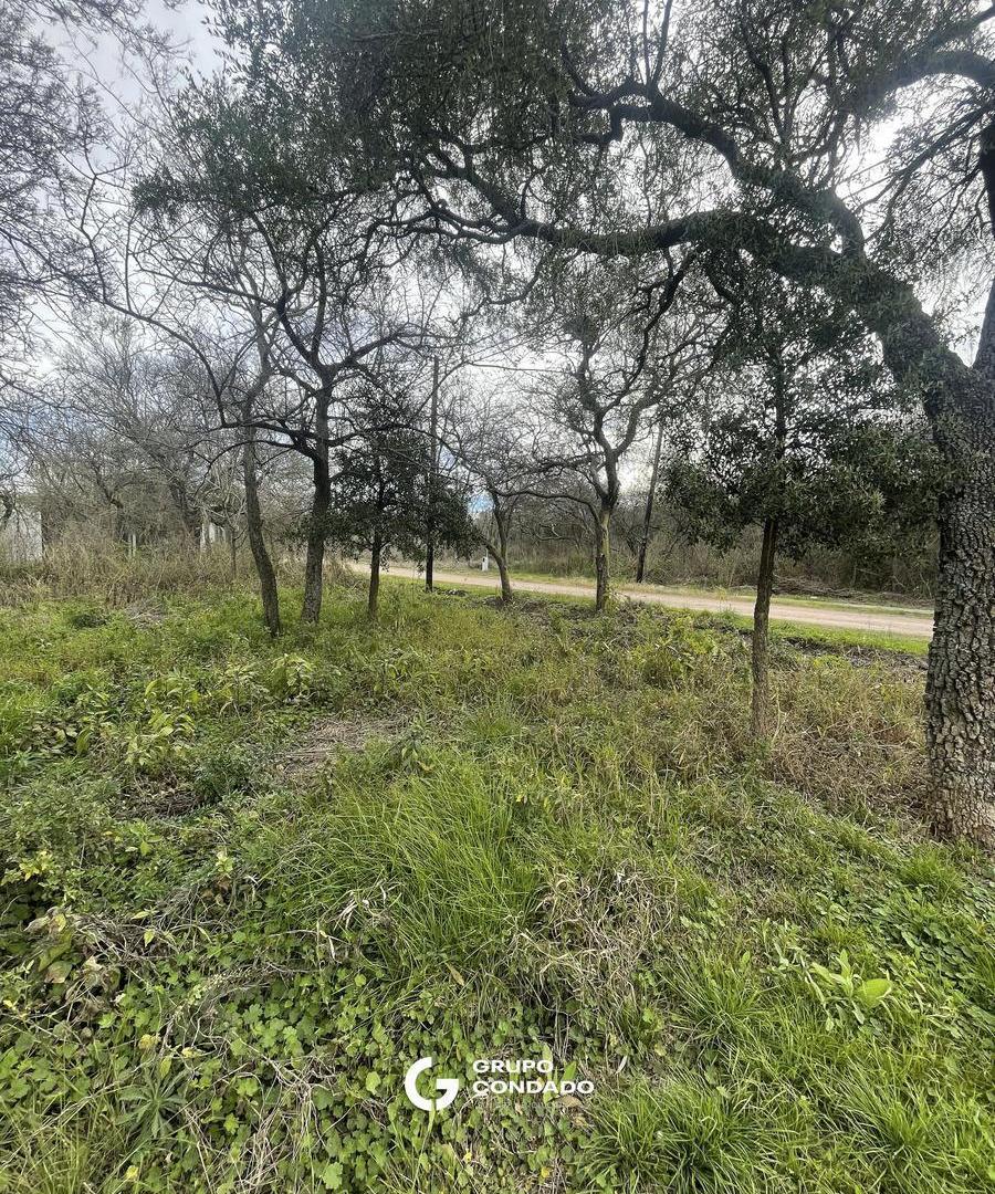 Foto de Terreno en Rio Ceballos - MZA 148 LOTE 9 - LOMAS DEL CHAÑAR, imagen 5