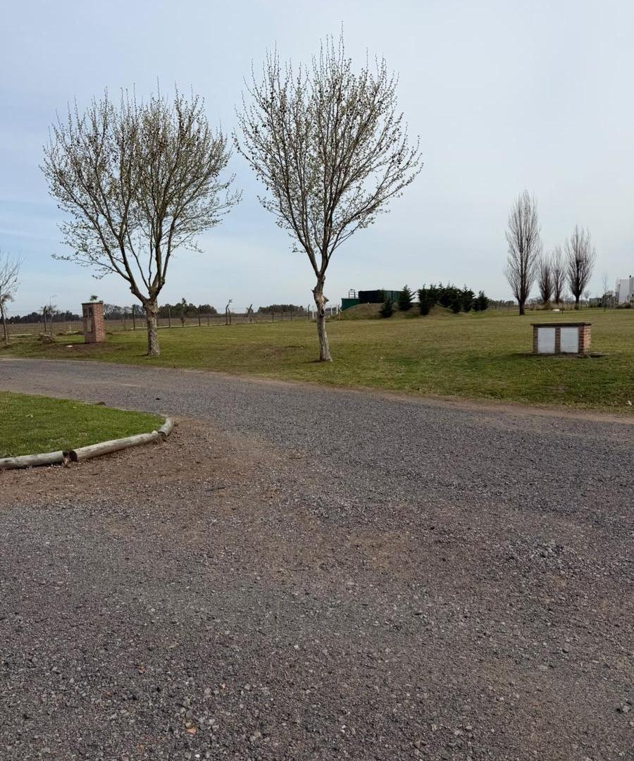 Foto de Terreno en Venta en Barrio Cerrado San Ignacio, Junín (B), imagen 5