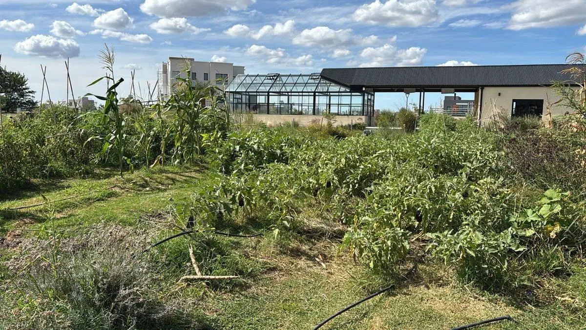 LOTE EN VENTA SANTA CLARA SAN VICENTE A LA LAGUNA 4
