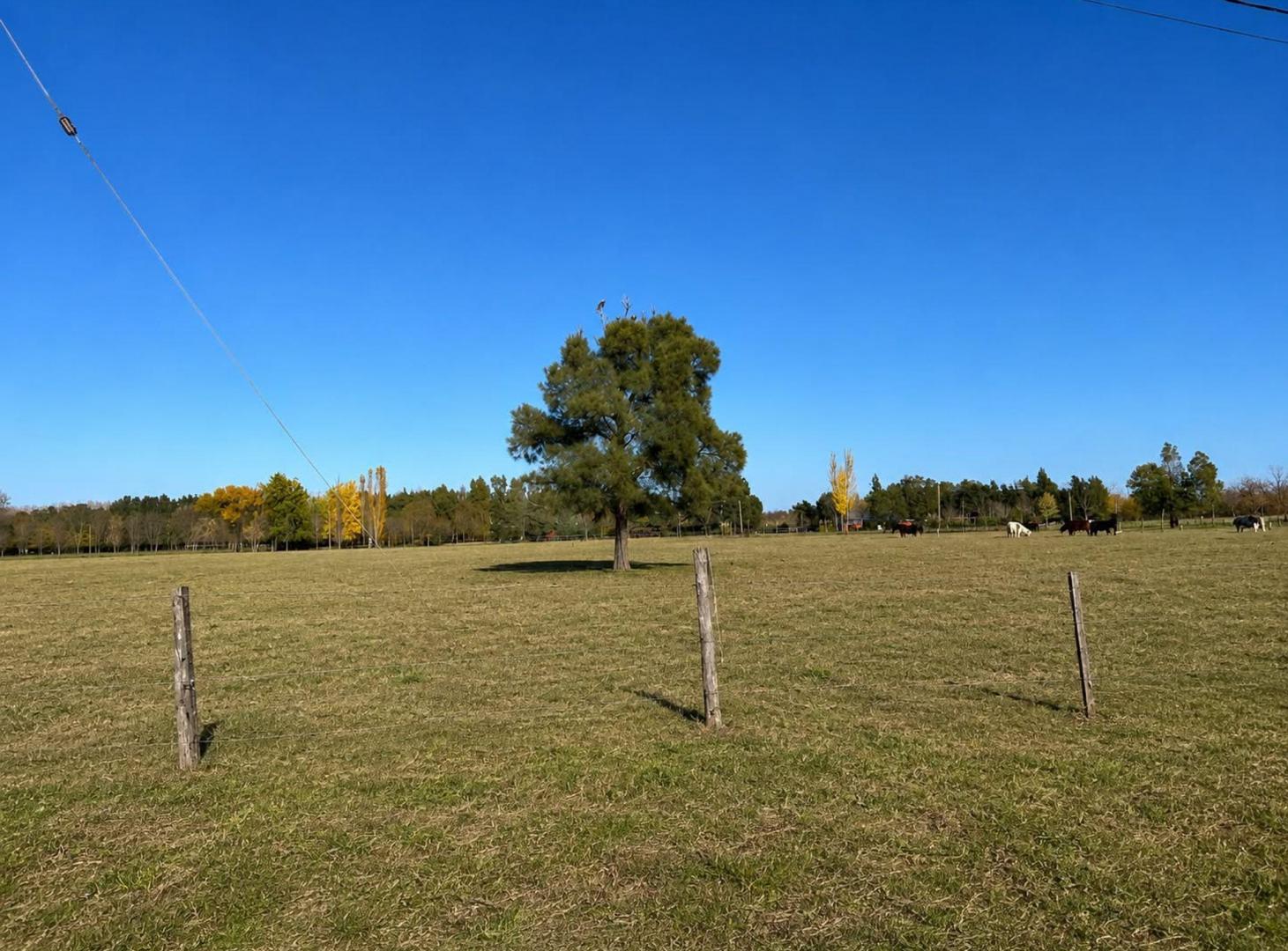 TERRENO EN VENTA LAGUNA DE LOBOS, UBICACION IDEAL