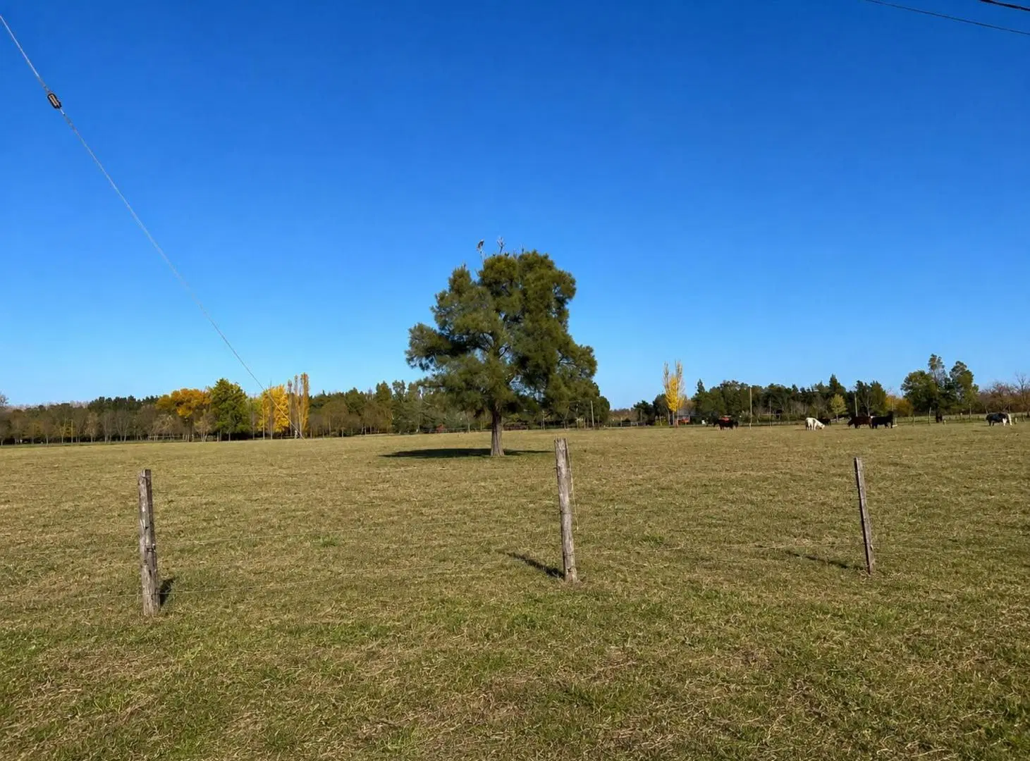 TERRENO EN VENTA LAGUNA DE LOBOS, UBICACION IDEAL 3
