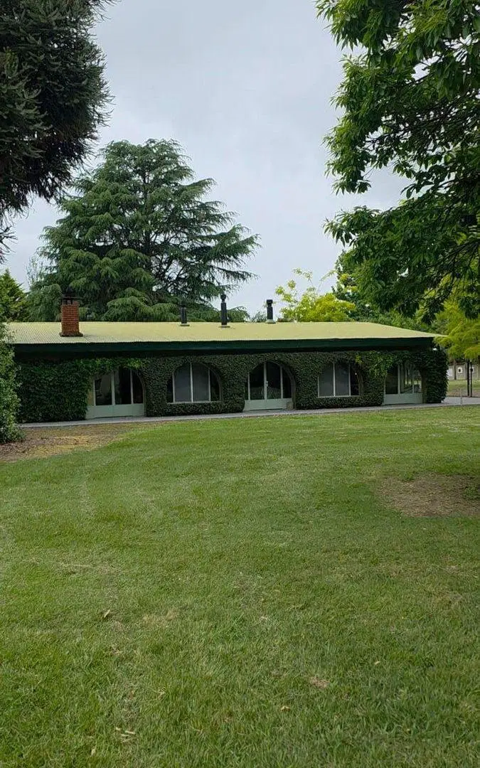 CAMPO EN VENTA MONTE S/RUTA 3, 60 HECTAREAS 4