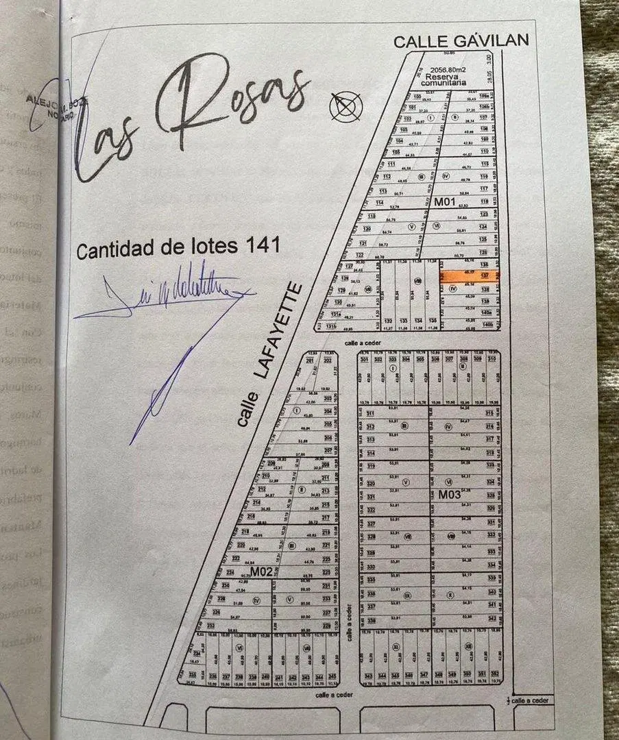 Plano 1
