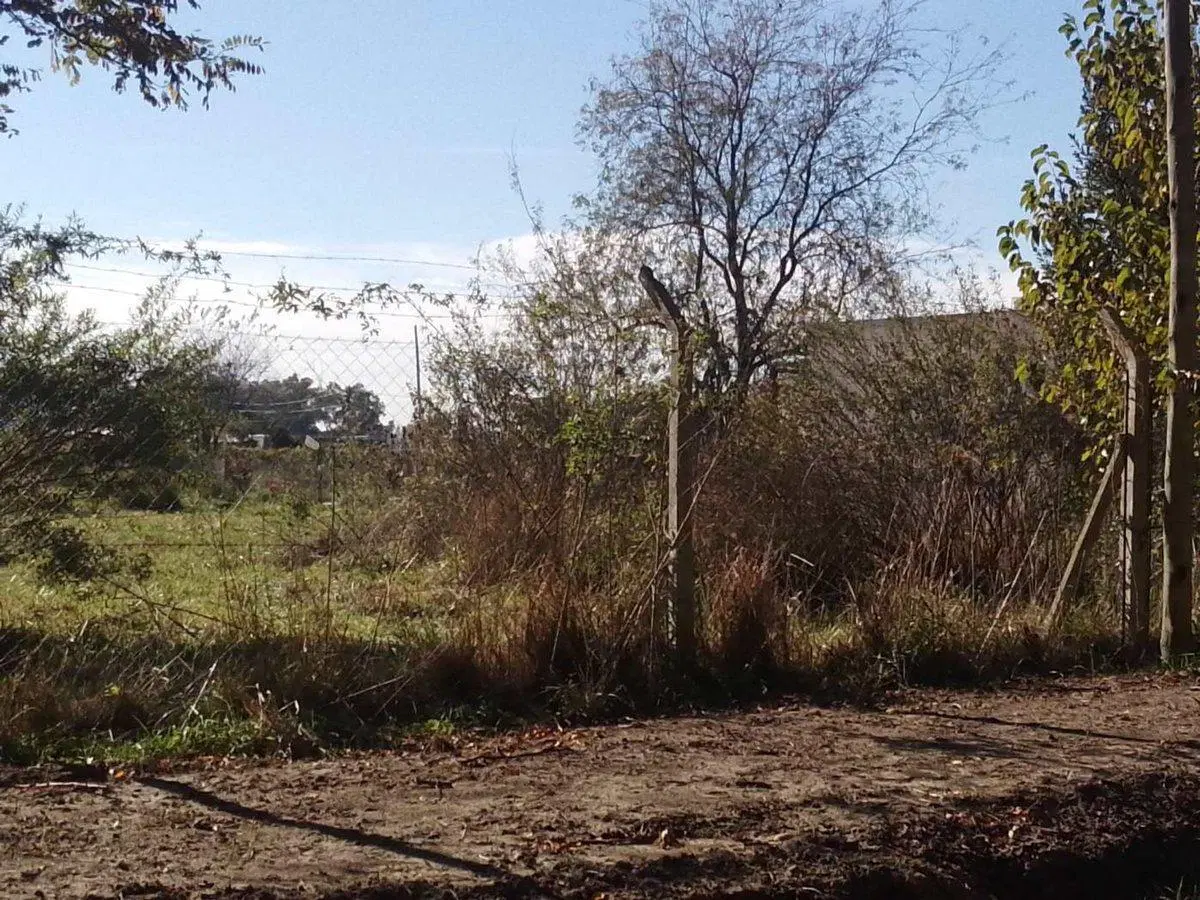 LOTE EN VENTA BRANDSEN  ENTORNO NATURAL 4