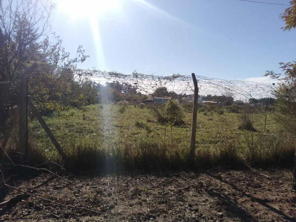 LOTE EN VENTA BRANDSEN CON ESCRITURA ZONA NATURAL 2