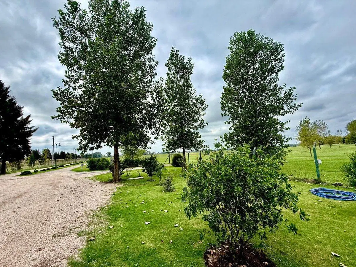 LOTE EN VENTA FINCAS JOVEN SAN VICENTE FINANCIADO 4