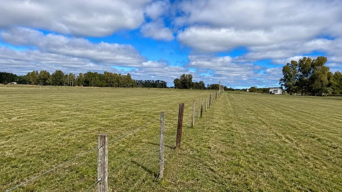 TERRENO EN VENTA SAN MIGUEL DEL MONTE RN 41 Y 215 3