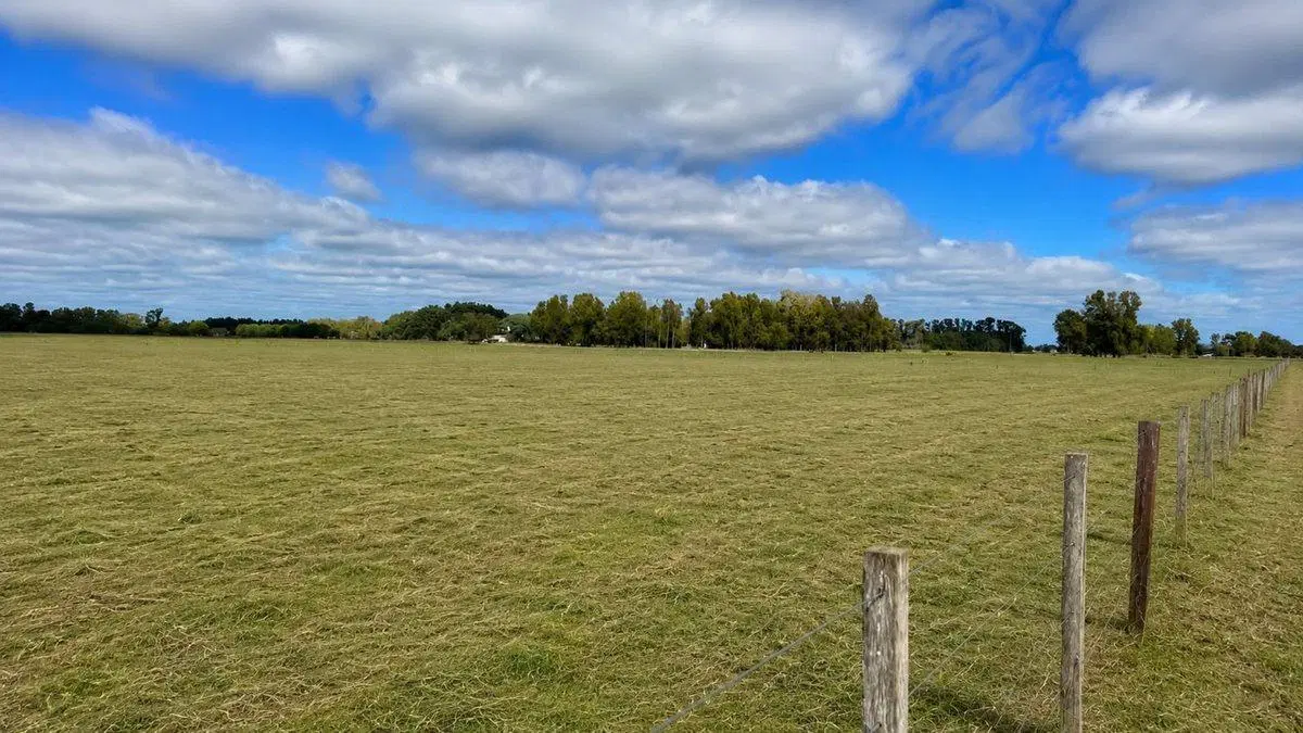CAMPO EN VENTA SAN MIGUEL DEL MONTE SOBRE RN 41 2