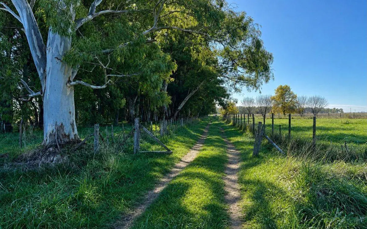 CAMPO EN VENTA SAN MIGUEL DEL MONTE SOBRE RN 41 4