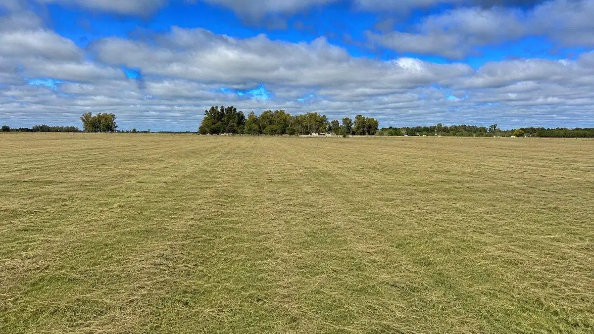 CAMPO EN VENTA SAN MIGUEL DEL MONTE SOBRE RN 41 5