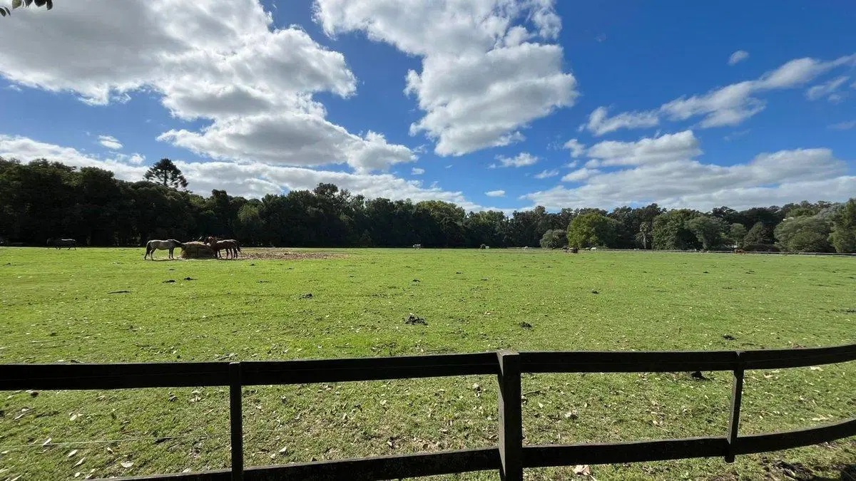 CAMPO EN VENTA, MONTE BENQUERENCIA, USO COMERCIAL. 4