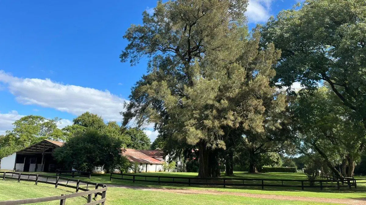 CAMPO EN VENTA, MONTE BENQUERENCIA, USO COMERCIAL. 3