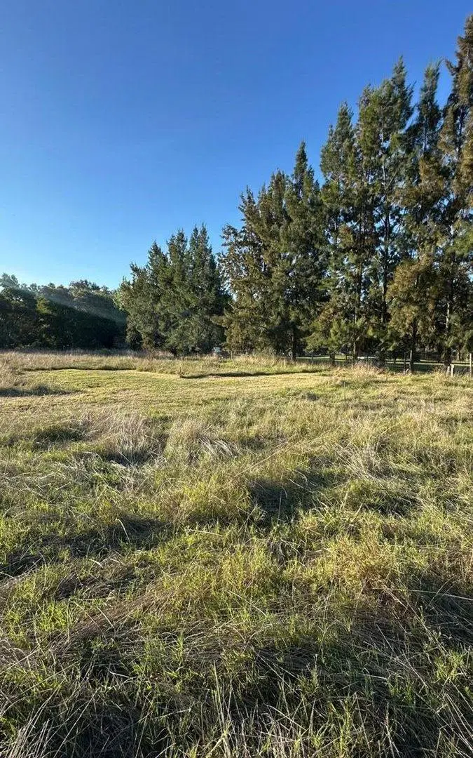 VENTA DE LOTE SAN VICENTE 3