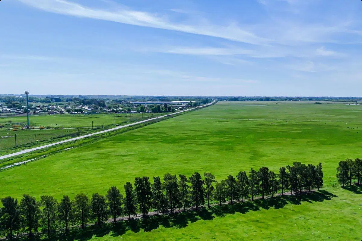 CAMPO EN VENTA FLORENCIO VARELA, 135 HECTAREAS, 4