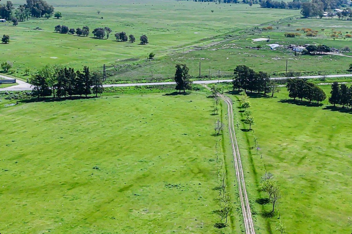 CAMPO EN VENTA FLORENCIO VARELA, 135 HECTAREAS,