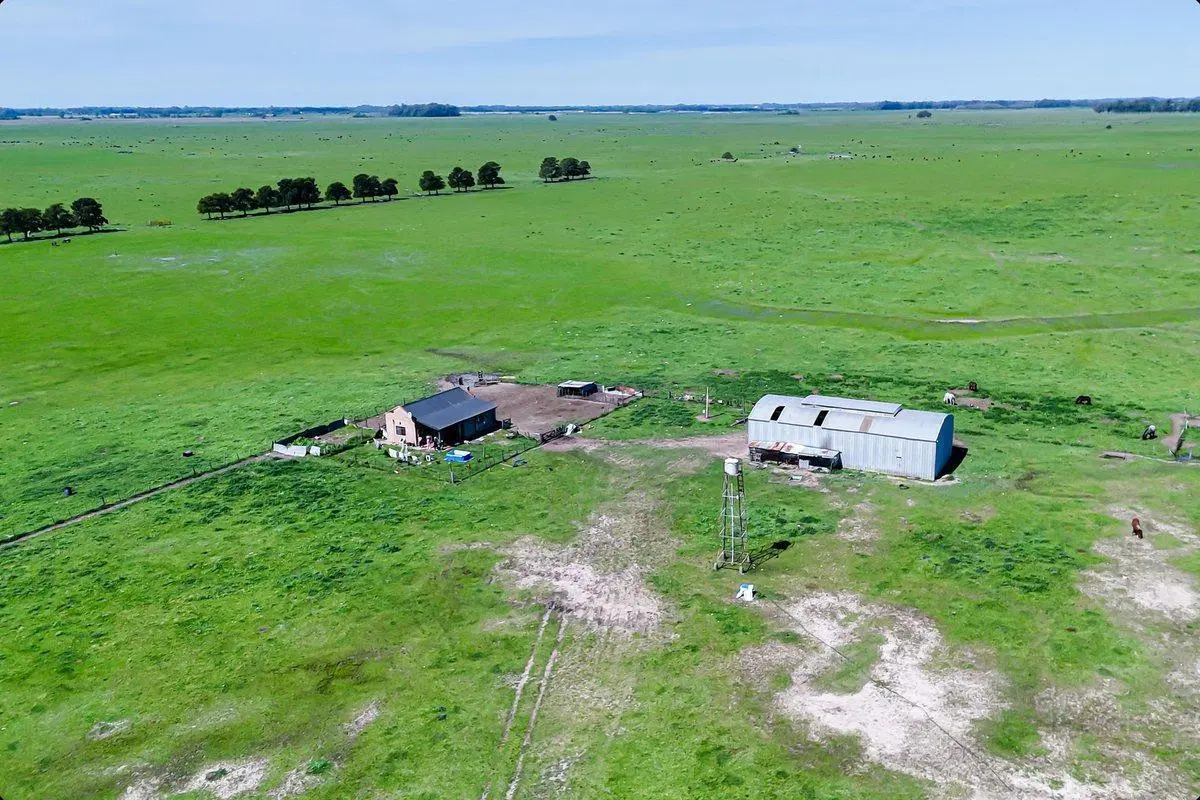 CAMPO EN VENTA FLORENCIO VARELA, 135 HECTAREAS, 2