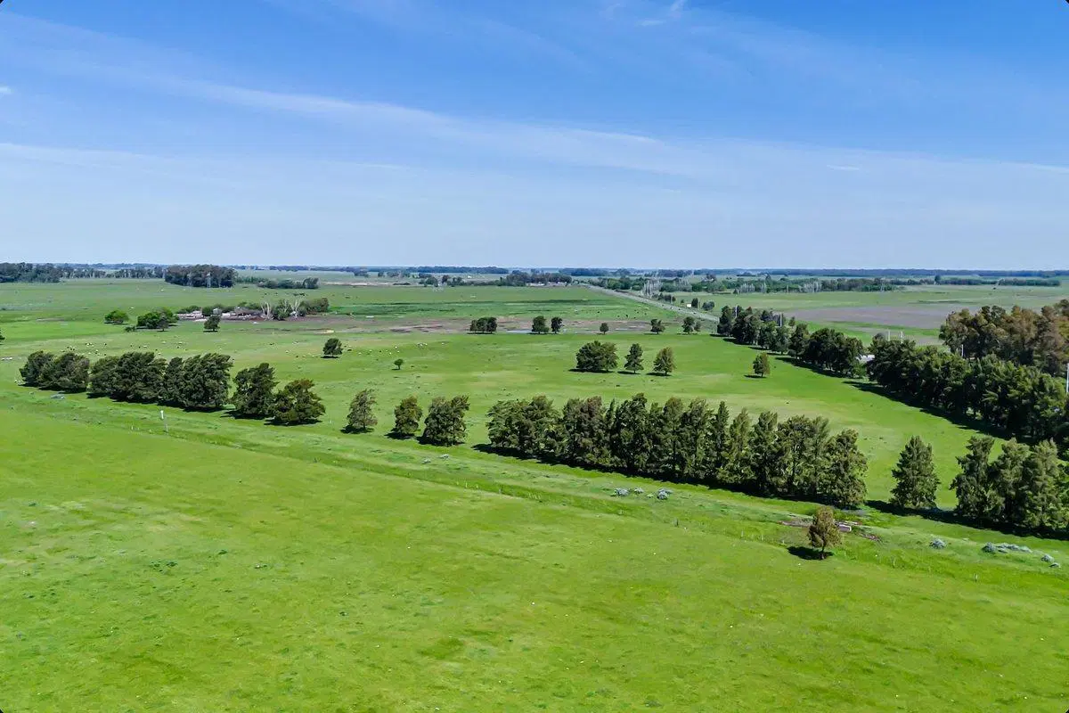 CAMPO EN VENTA FLORENCIO VARELA, 135 HECTAREAS, 5