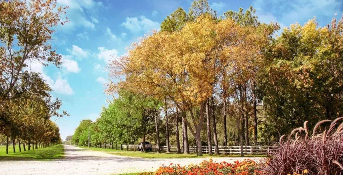 TERRENO EN VENTA FINCAS DE SAN VICENTE FONDO GOLF 3