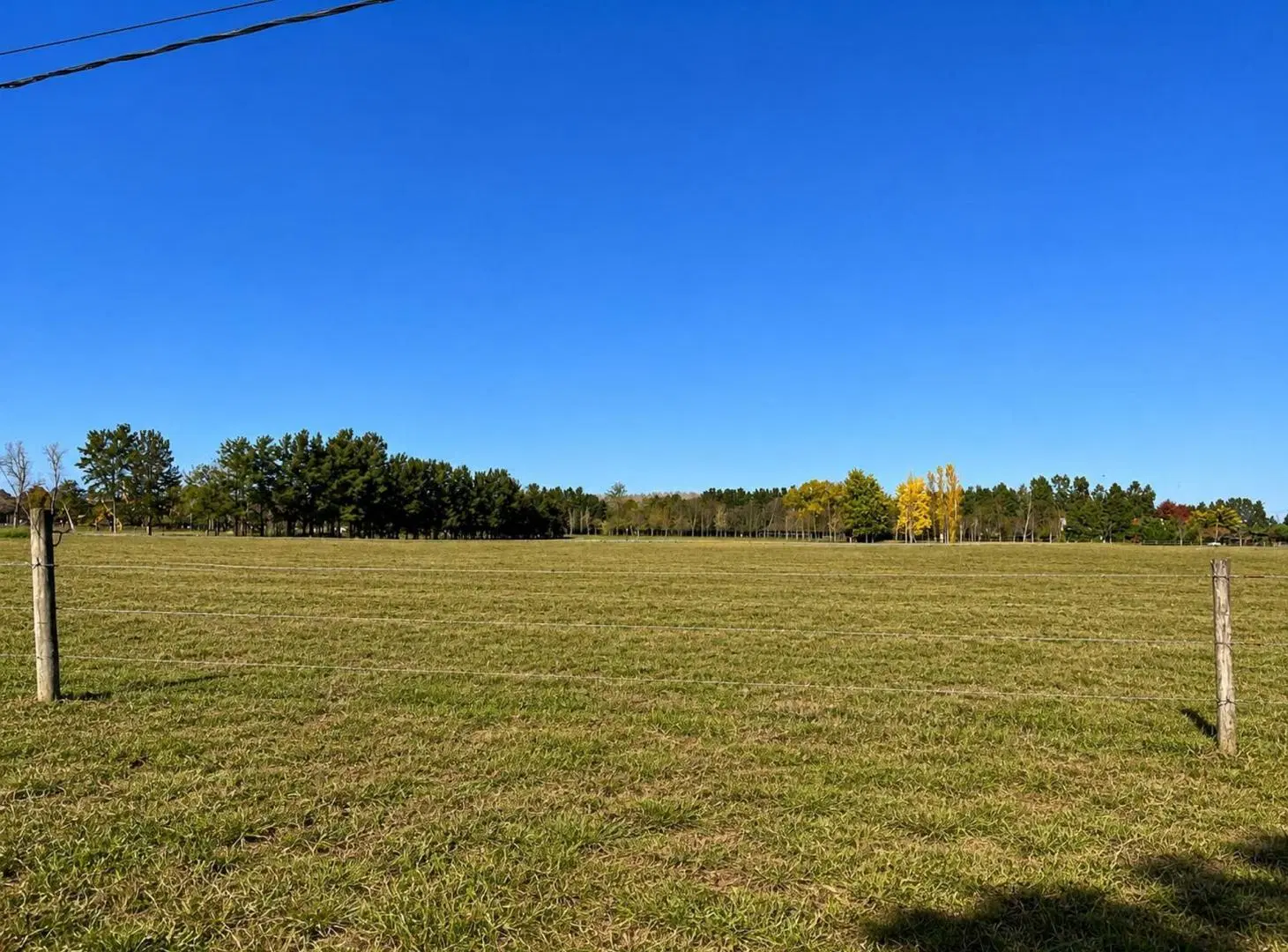 TERRENO EN VENTA LAGUNA DE LOBOS, UBICACION IDEAL 4