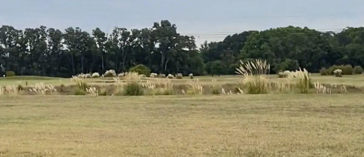 TERRENO EN  VENTA ESTANCIA VILLA MARIA EZEIZA 5