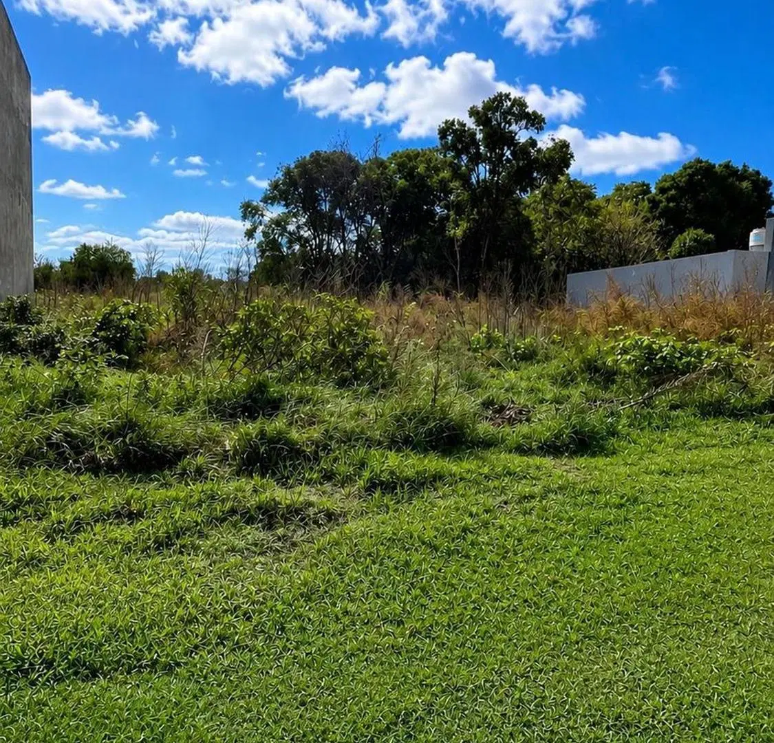 TERRENO EN VENTA MONTE , LOS PINOS SOBRE RN3 3