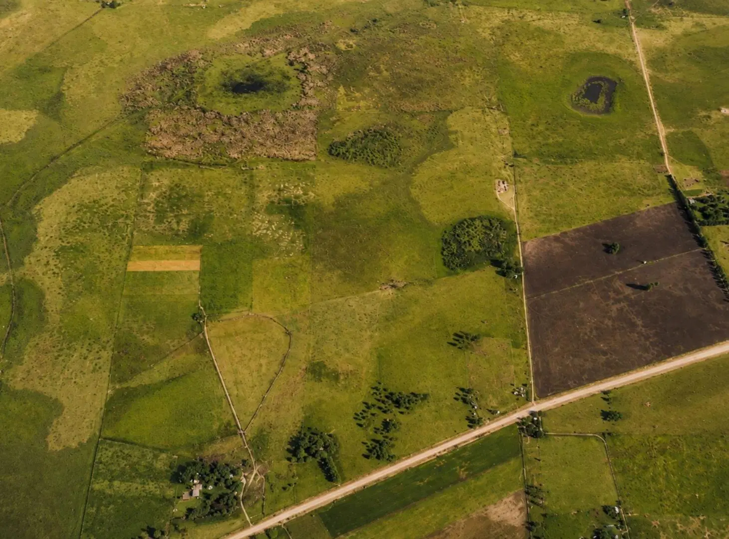 CAMPO GANADERO EN VENTA CAÑUELAS 90 HECTAREAS 3