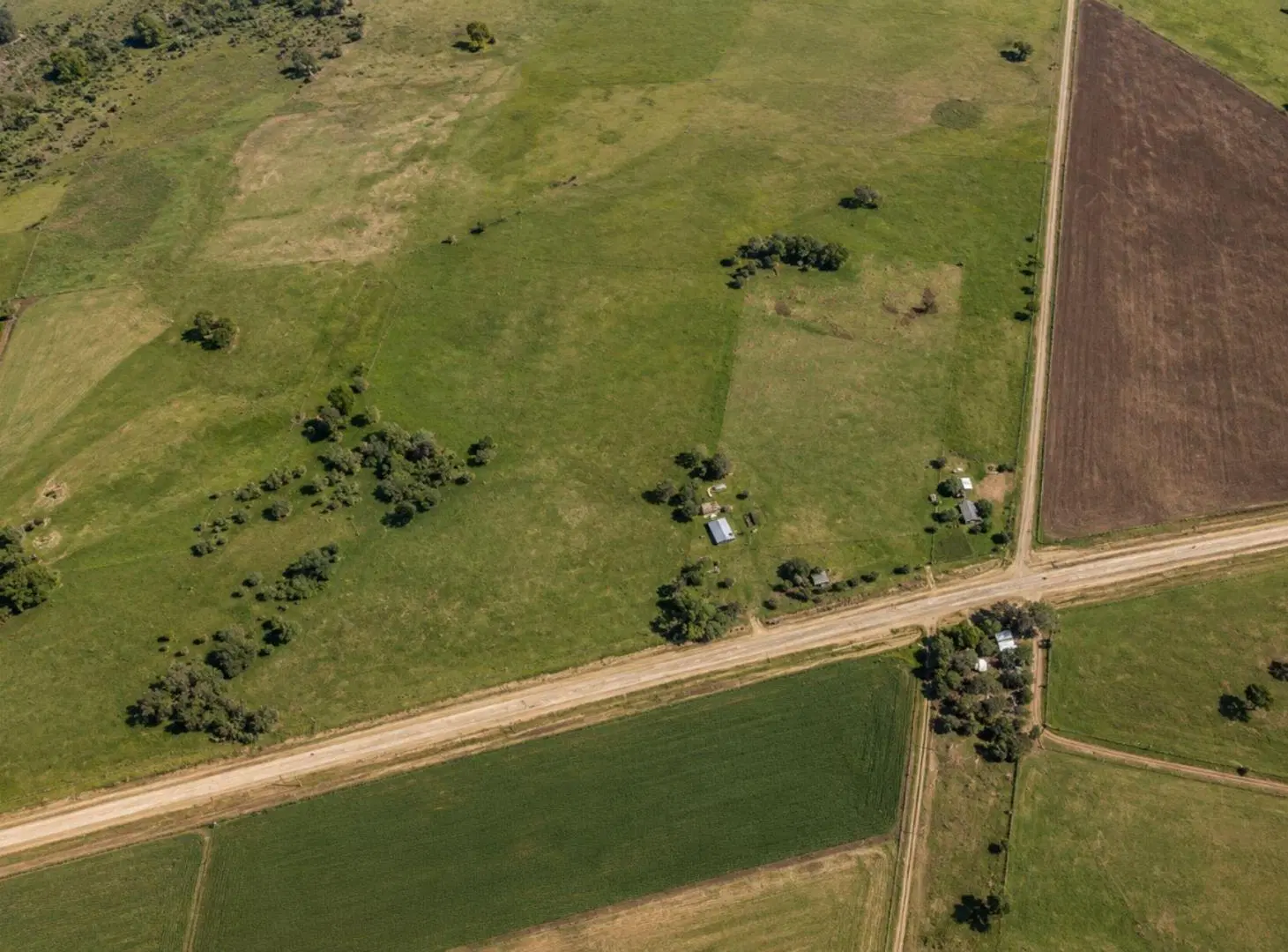 CAMPO GANADERO EN VENTA CAÑUELAS 90 HECTAREAS 8