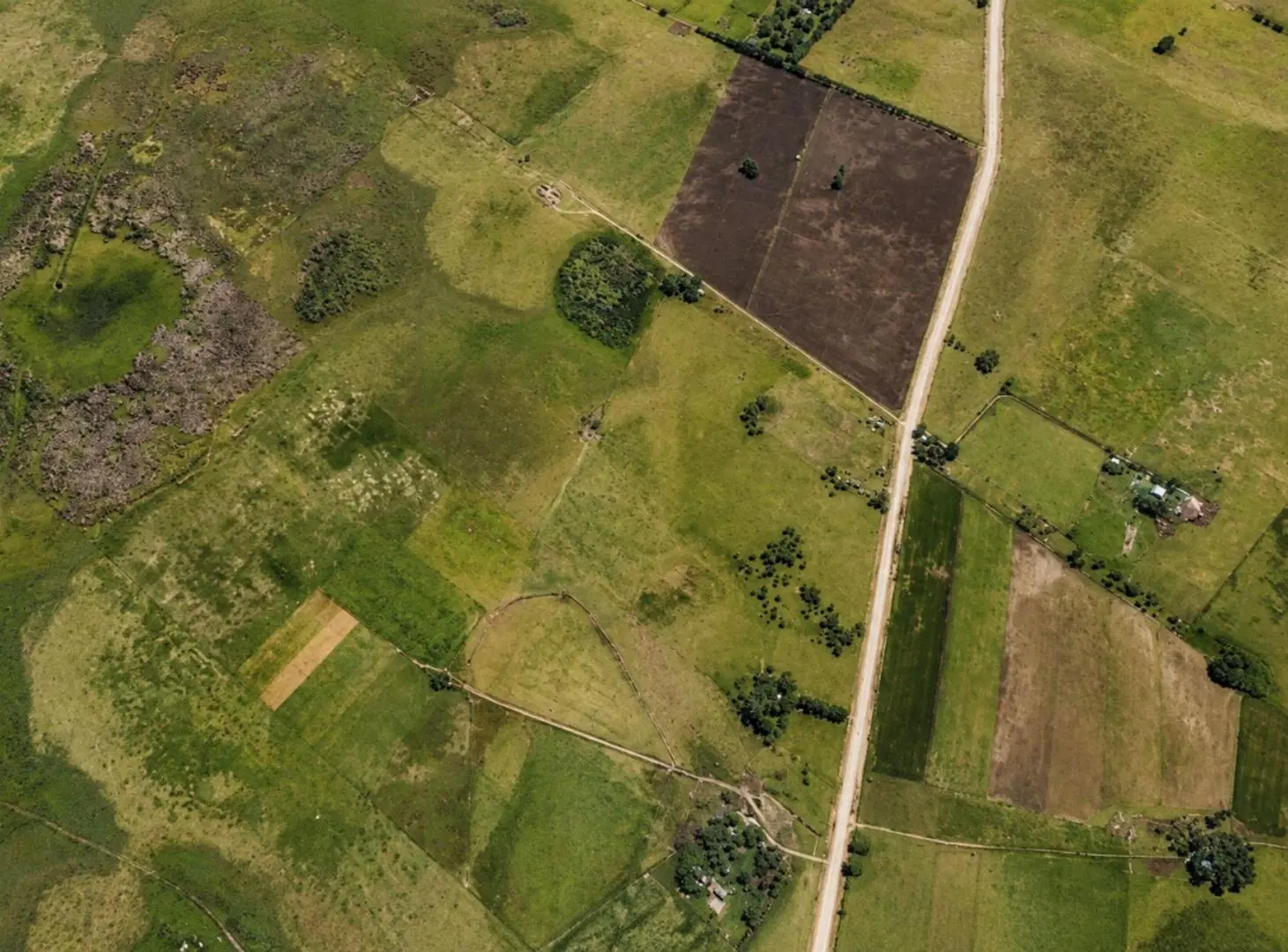 CAMPO GANADERO EN VENTA CAÑUELAS 90 HECTAREAS 4