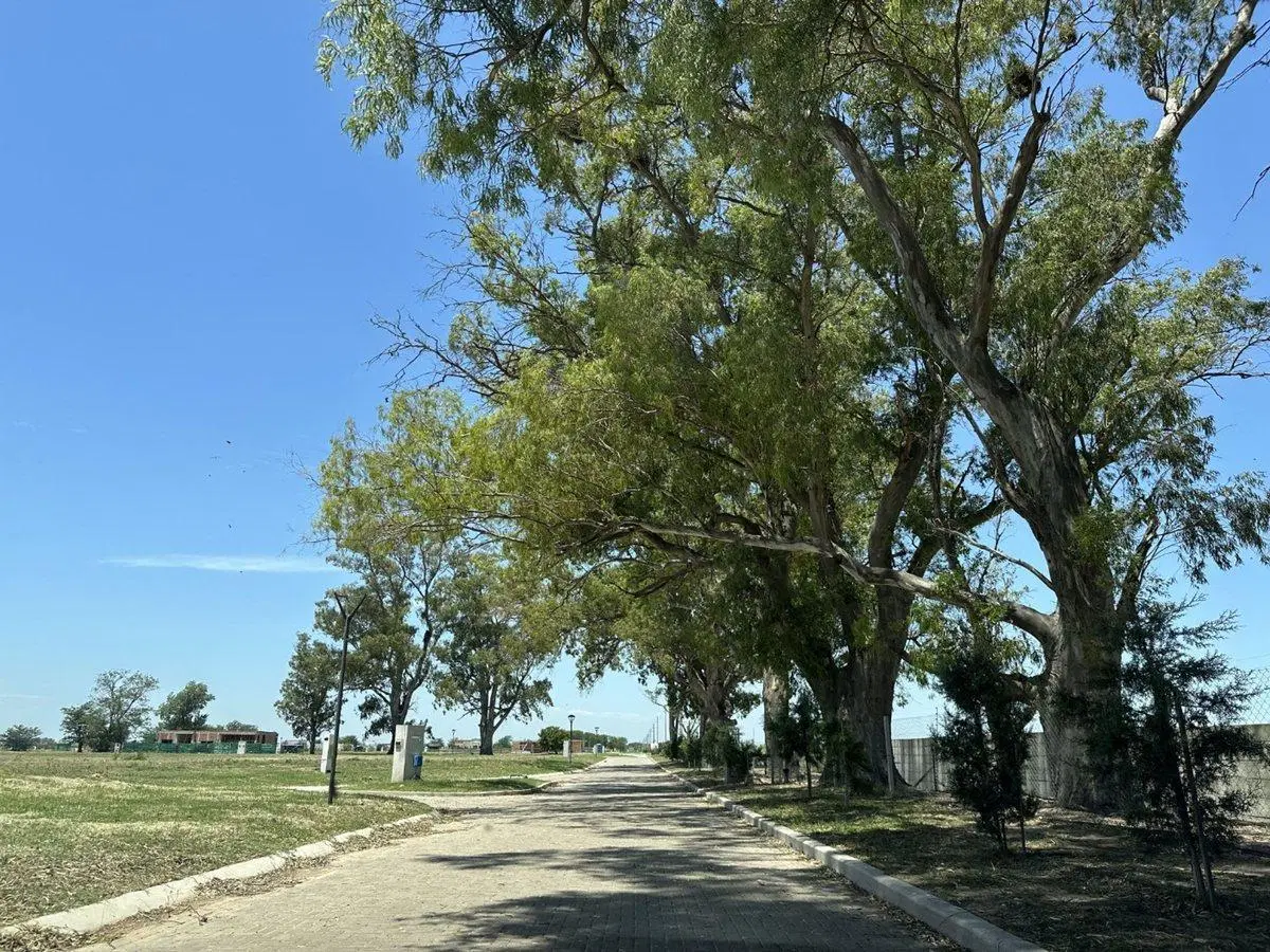 TERRENO EN VENTA EN SANTA CLARA AL SUR A LA LAGUNA 5